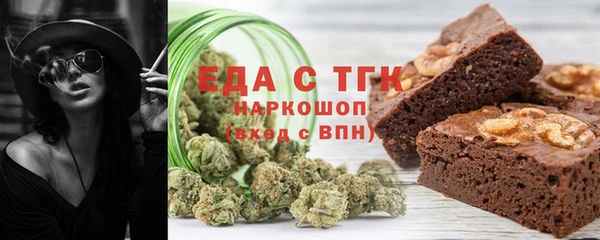 индика Богородицк